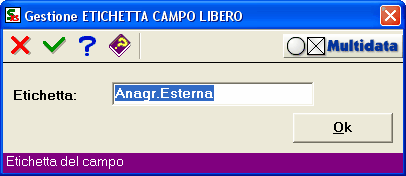 Esempio di personalizzazione di un campo